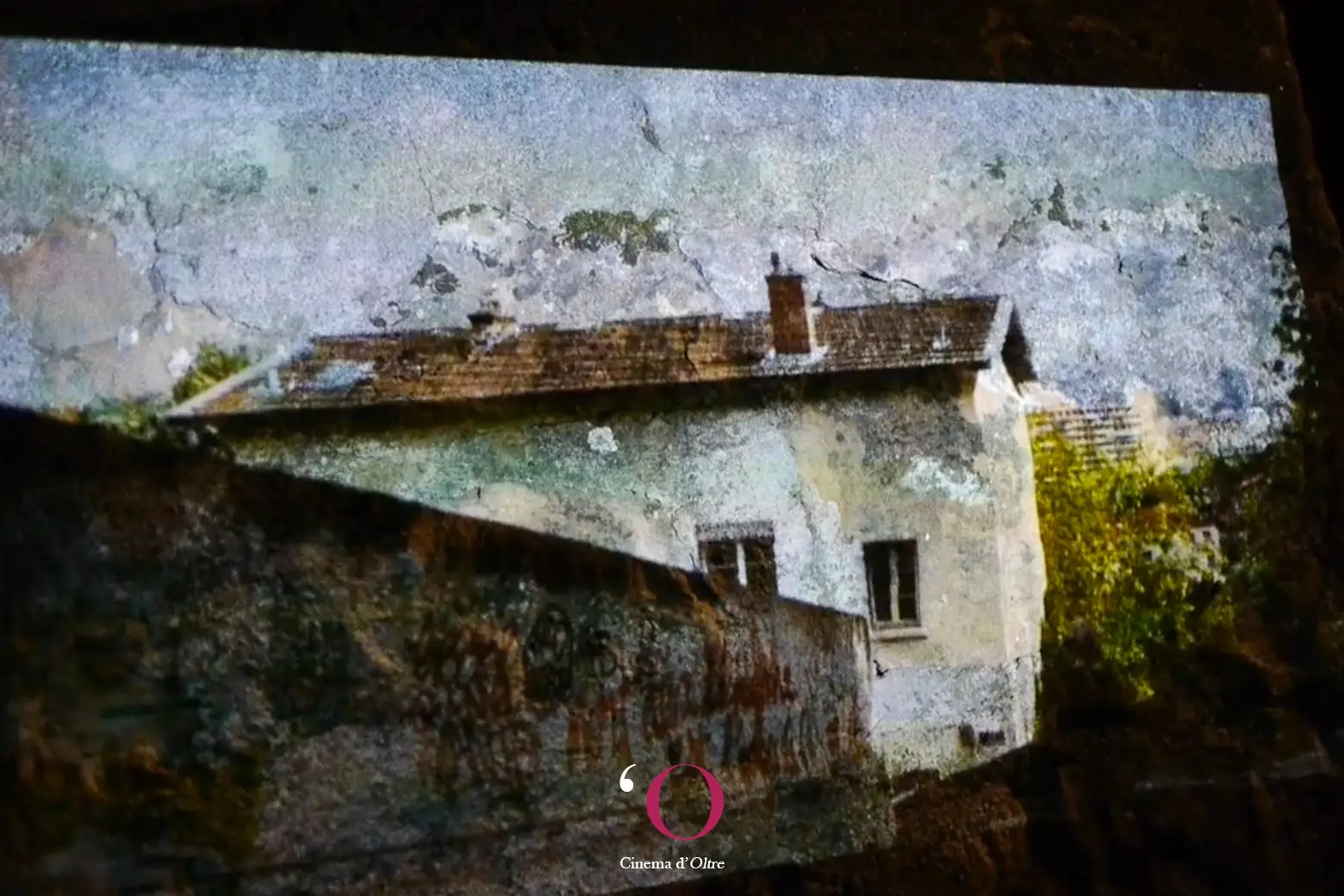 “Resurrection plant” di Cinema Fragile