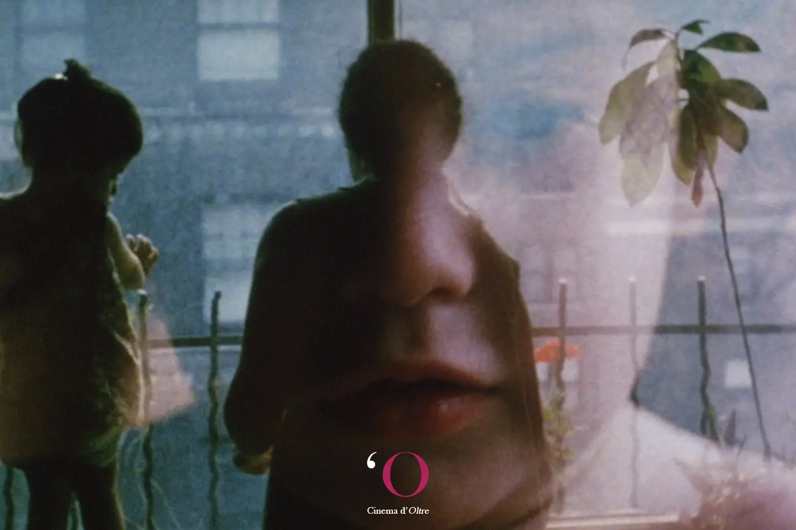 Jonas Mekas. La vita in una costellazione di film