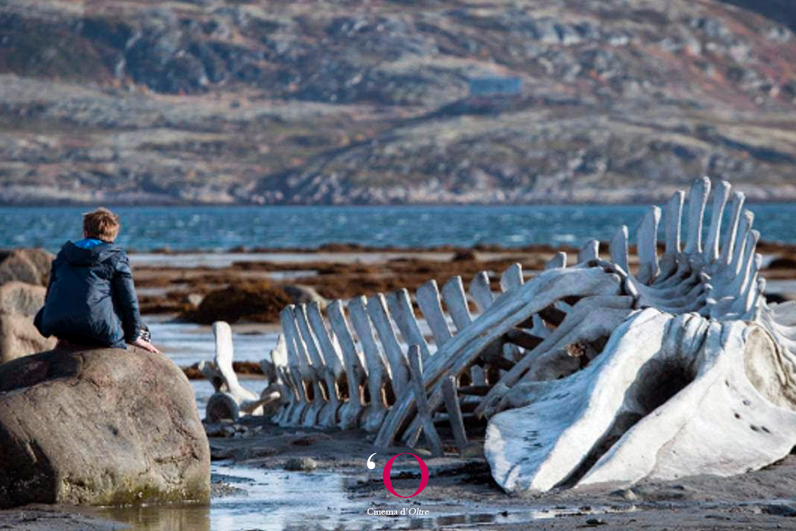 “Leviathan” un film di Andrey Zvyagintsev